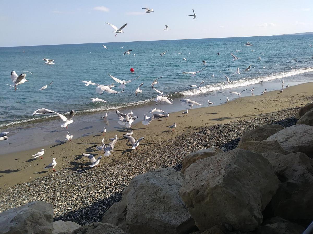 The Spidaki Ξενοδοχείο Λάνια Εξωτερικό φωτογραφία